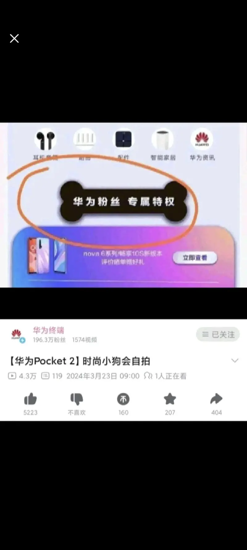 把你手机里最炸裂的图显示出来